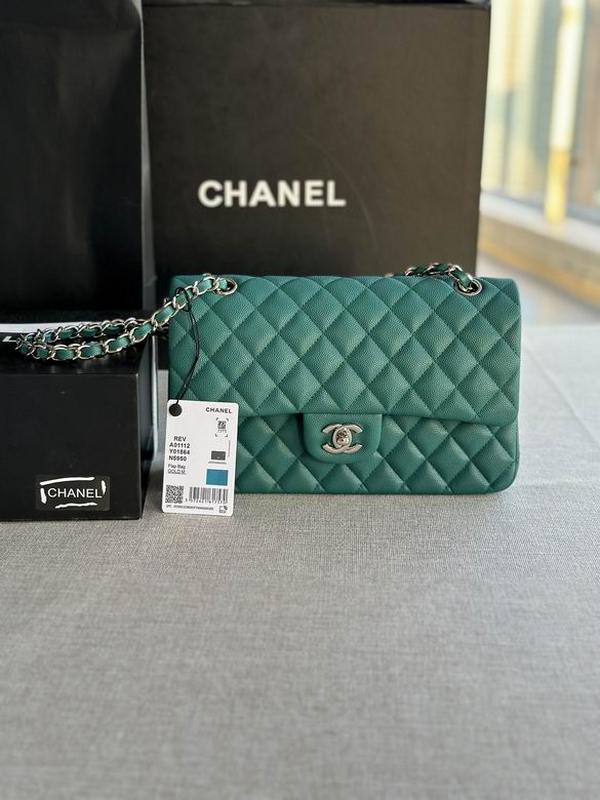 Chanel Handbags 311